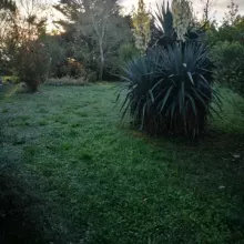 automne antre des vices