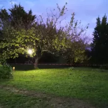 nuit antre des vices